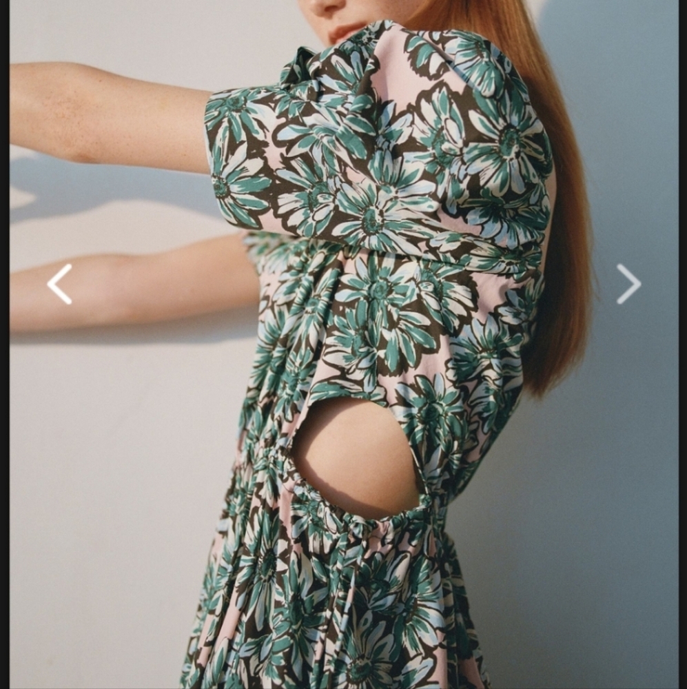 Zara Floral Cutout Poplin Dress - Picture 2 of 9